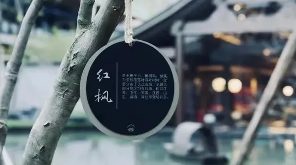 深圳品牌設(shè)計作品案例展示