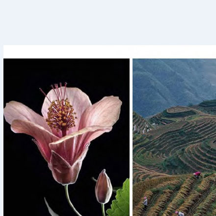 羽絨服哪個品牌vi設計公司案例作品質(zhì)量好